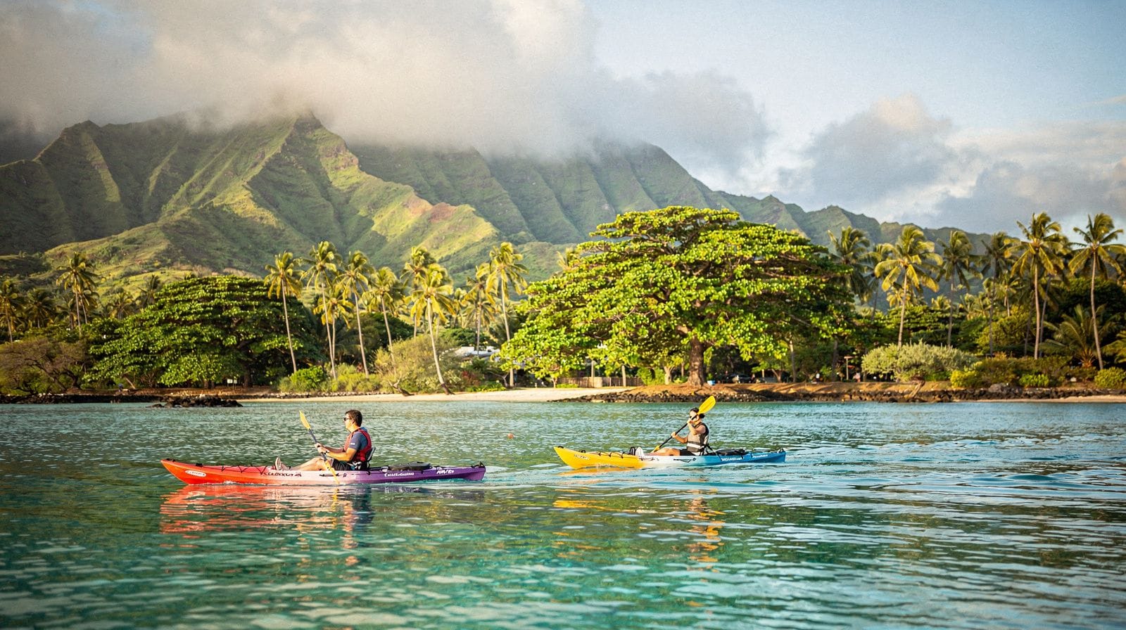 Kayak and paddleboard trips