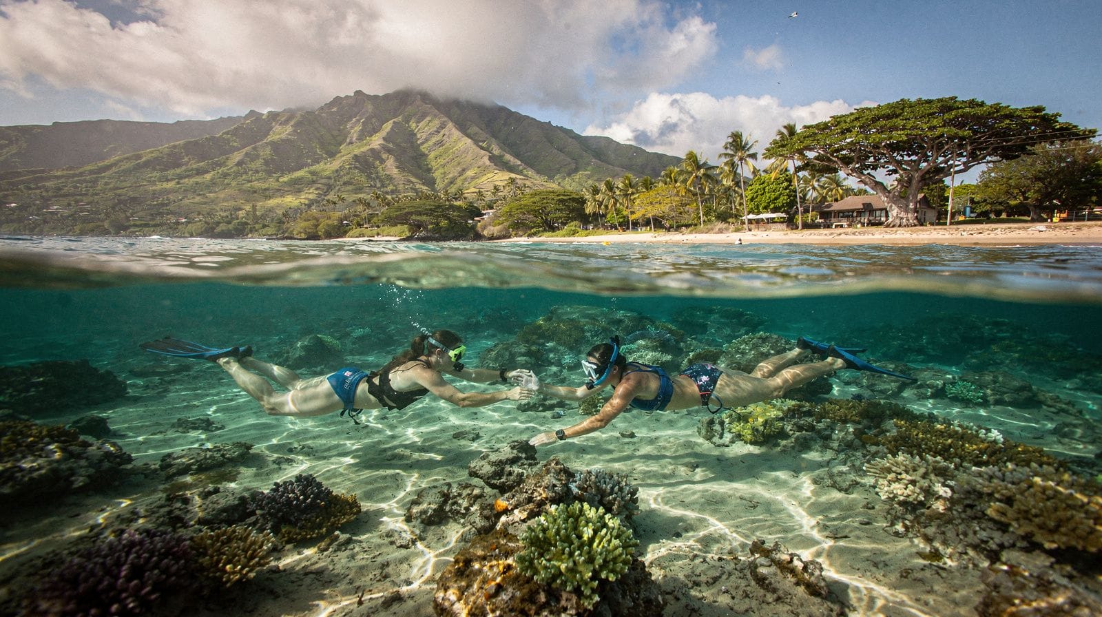 Nurkowanie i snorkeling