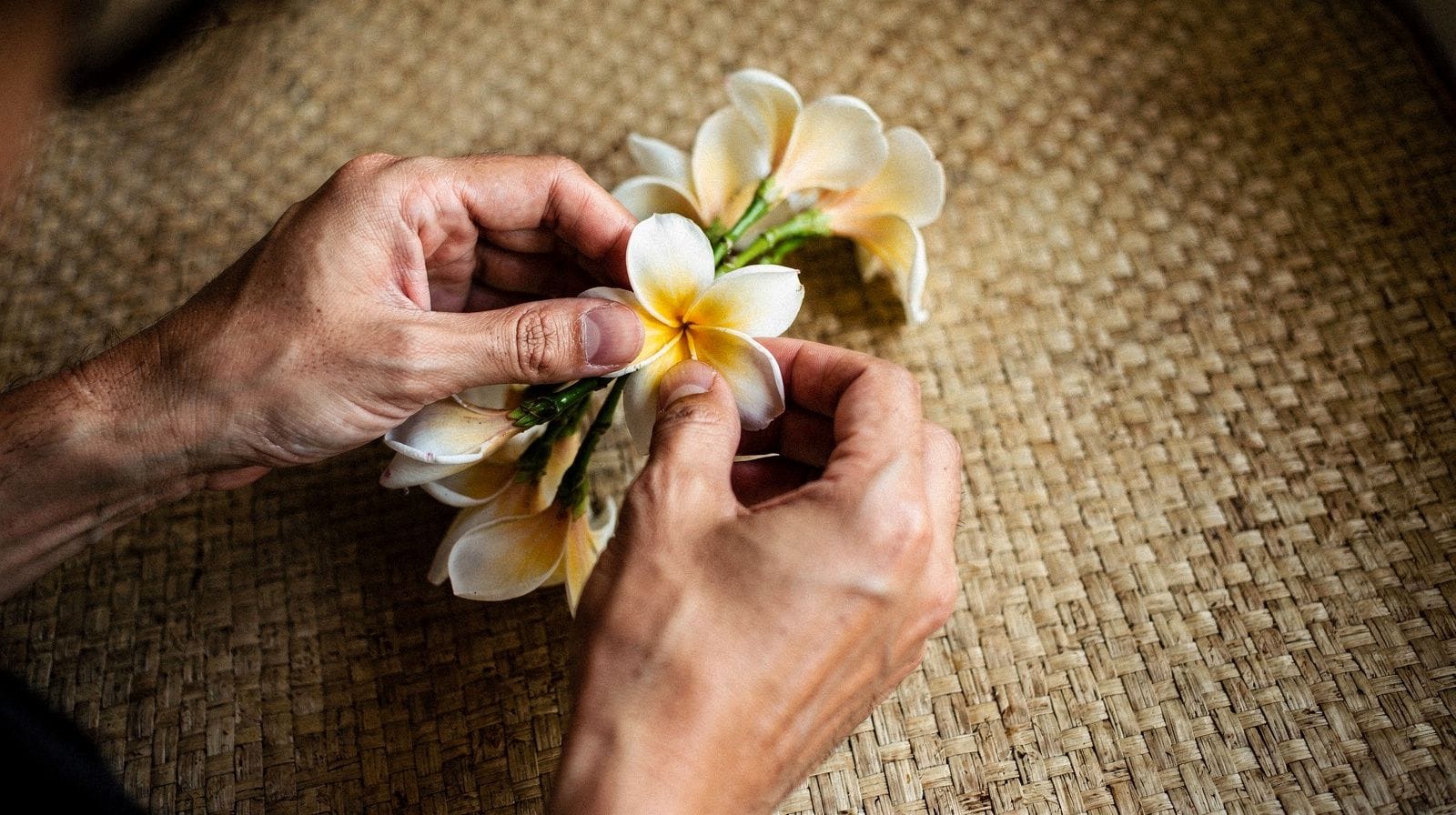 Hula and cultural classes
