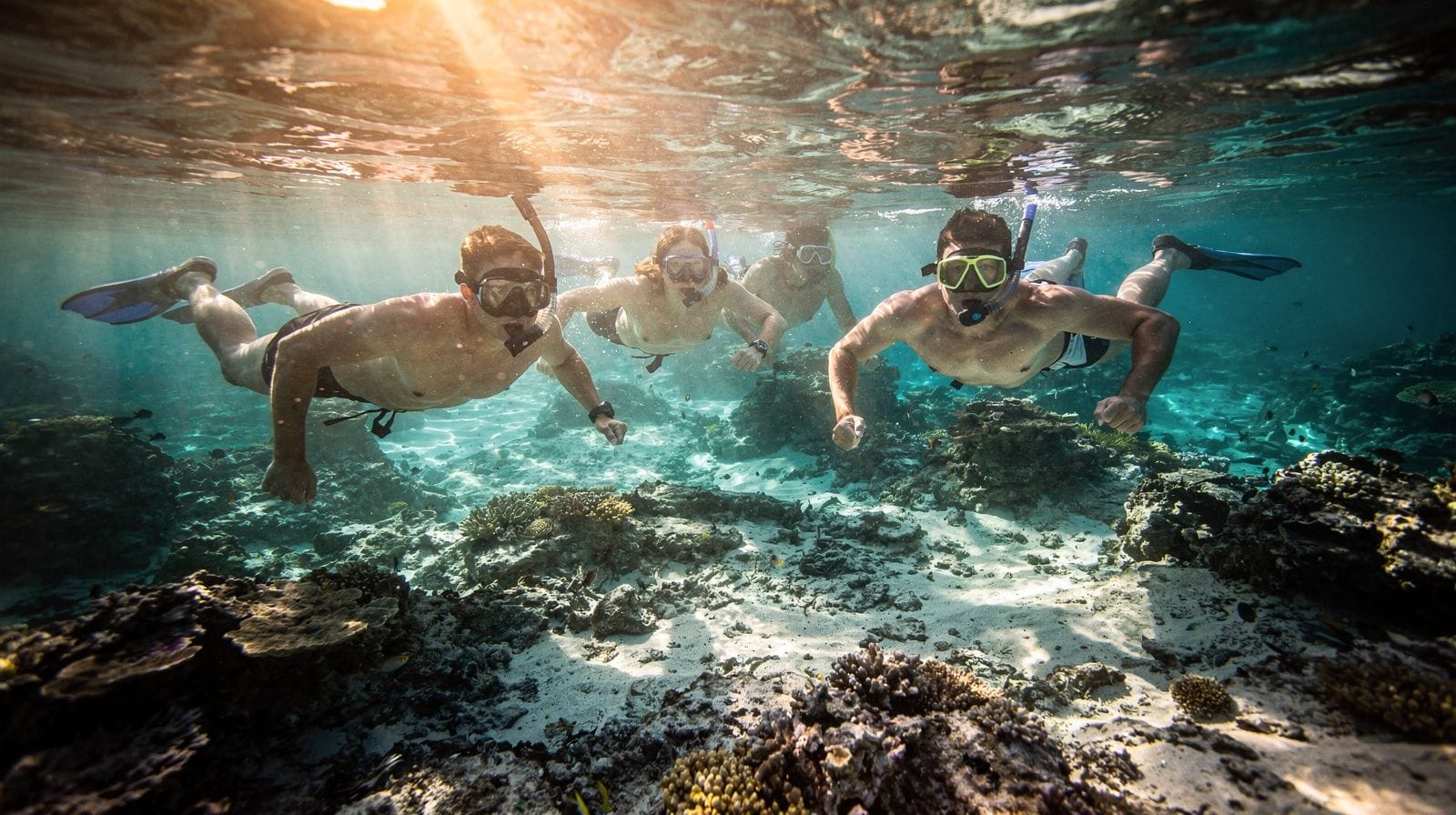 As melhores praias para snorkel em Oahu sem precisar de barco