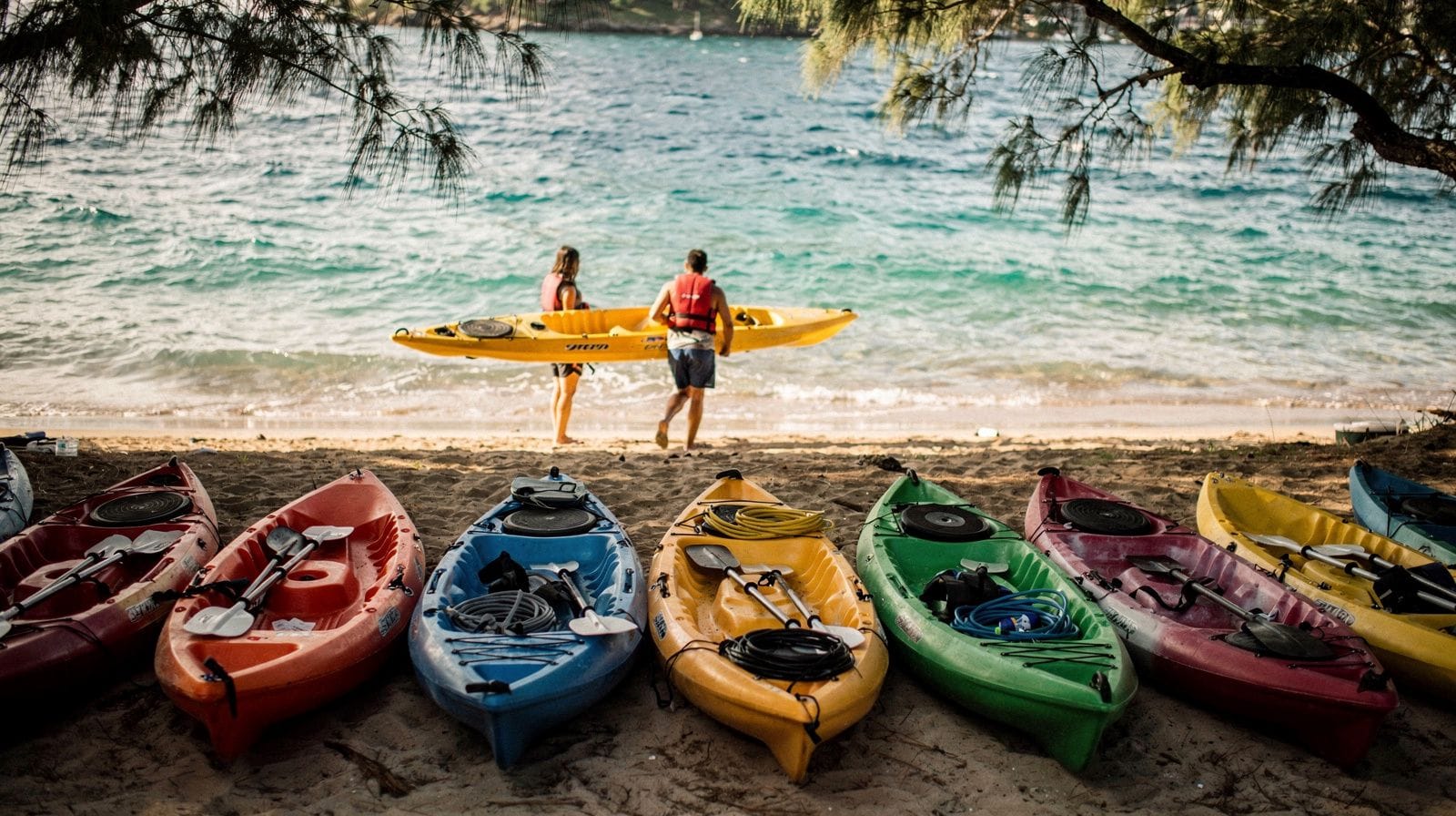 Passeios de caiaque vs. aluguer de caiaque em Oahu