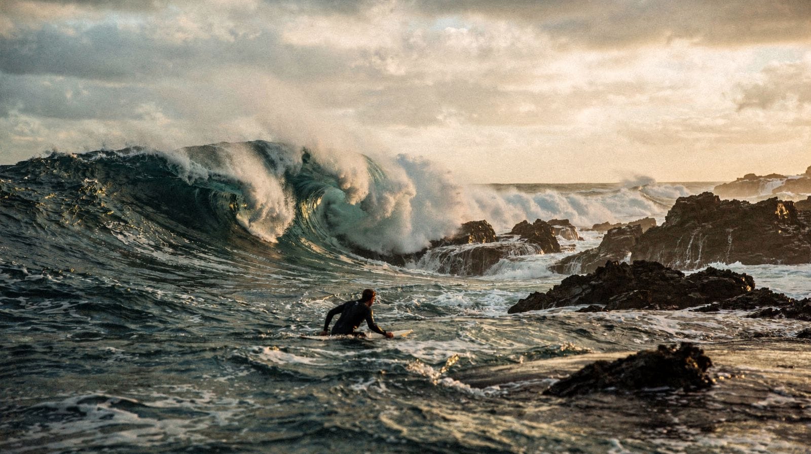 Excursão de um dia ao North Shore a partir de Waikiki, sem precisar de carro