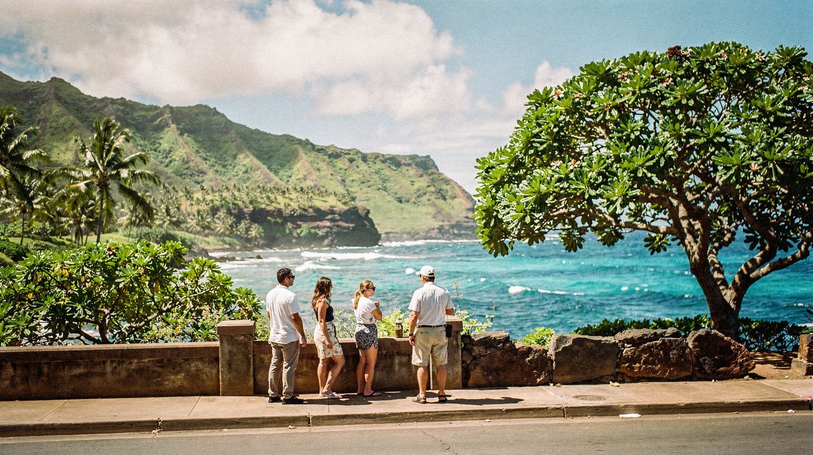Guia privado ou tour em grupo: qual se ajusta ao seu dia em Oahu