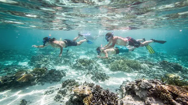 Snorkel tours vs. beach snorkeling on Oahu