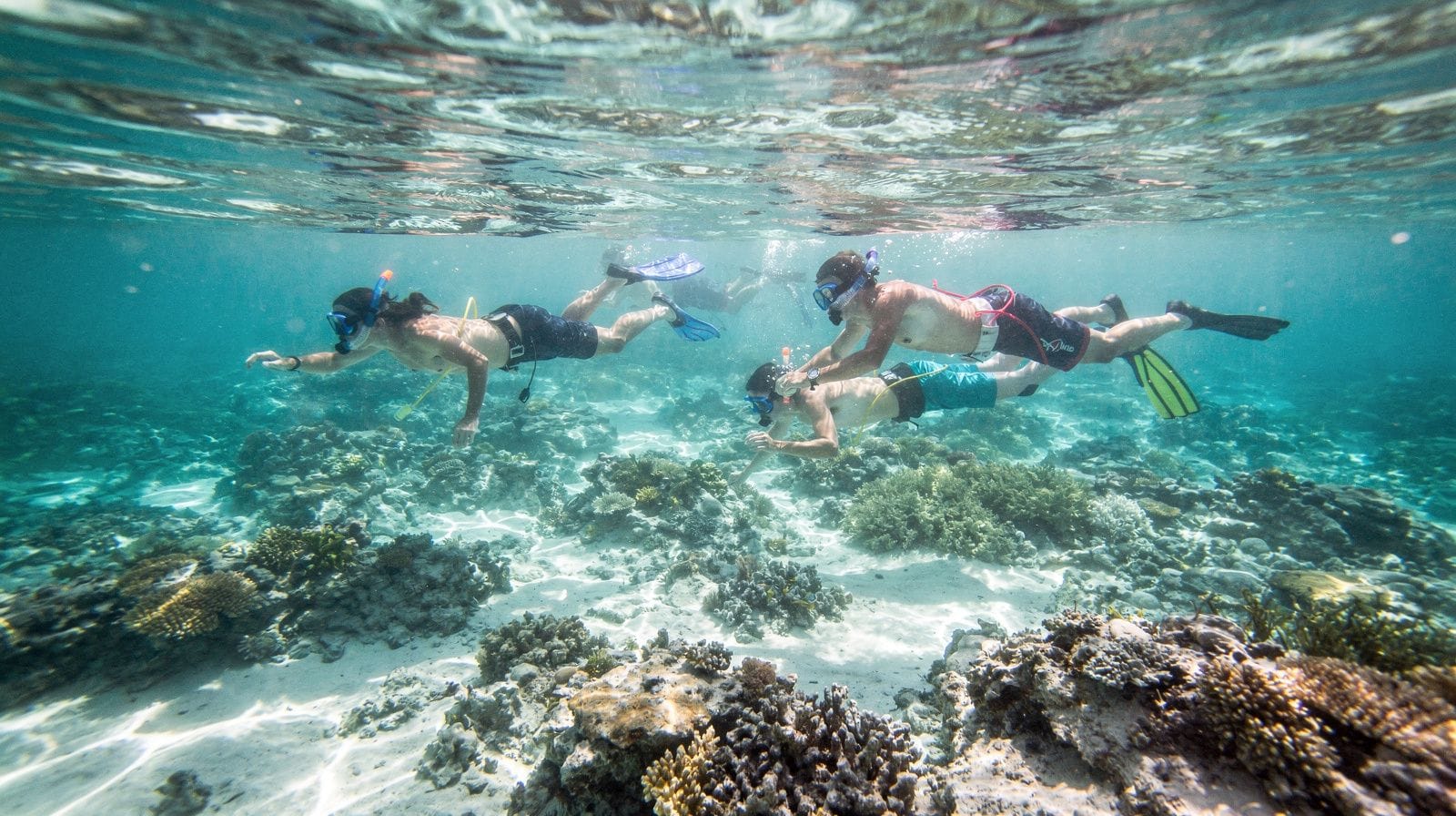 Passeios de snorkel vs. snorkel na praia em Oahu