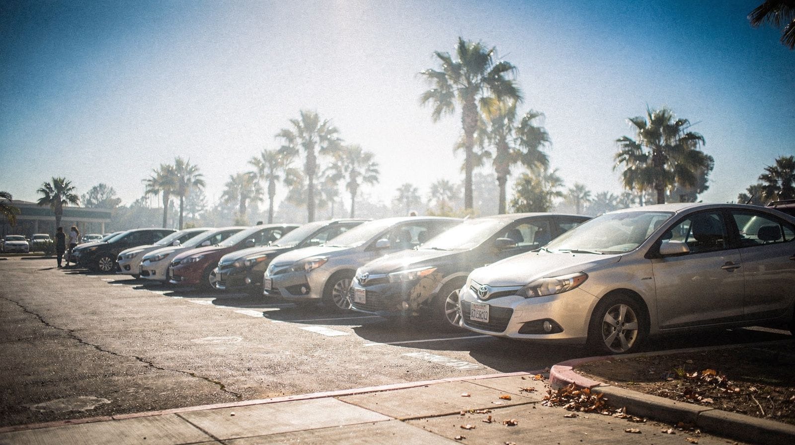 Tours ou carro alugado em Oahu: o que sai mais barato na prática