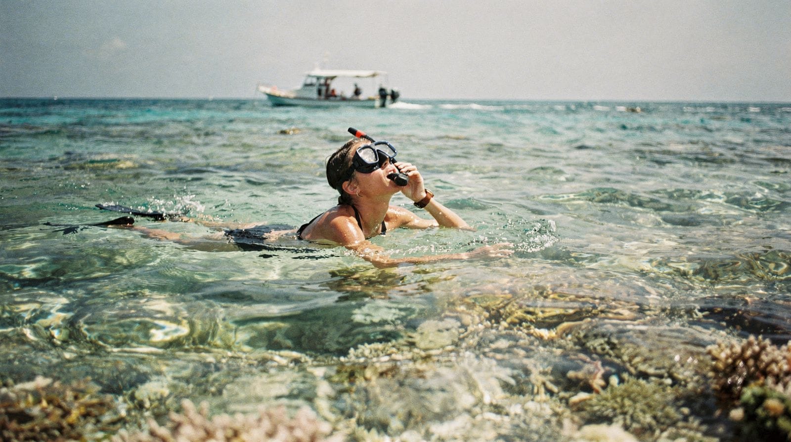 Passeios de snorkel a Turtle Canyon a partir de Waikiki