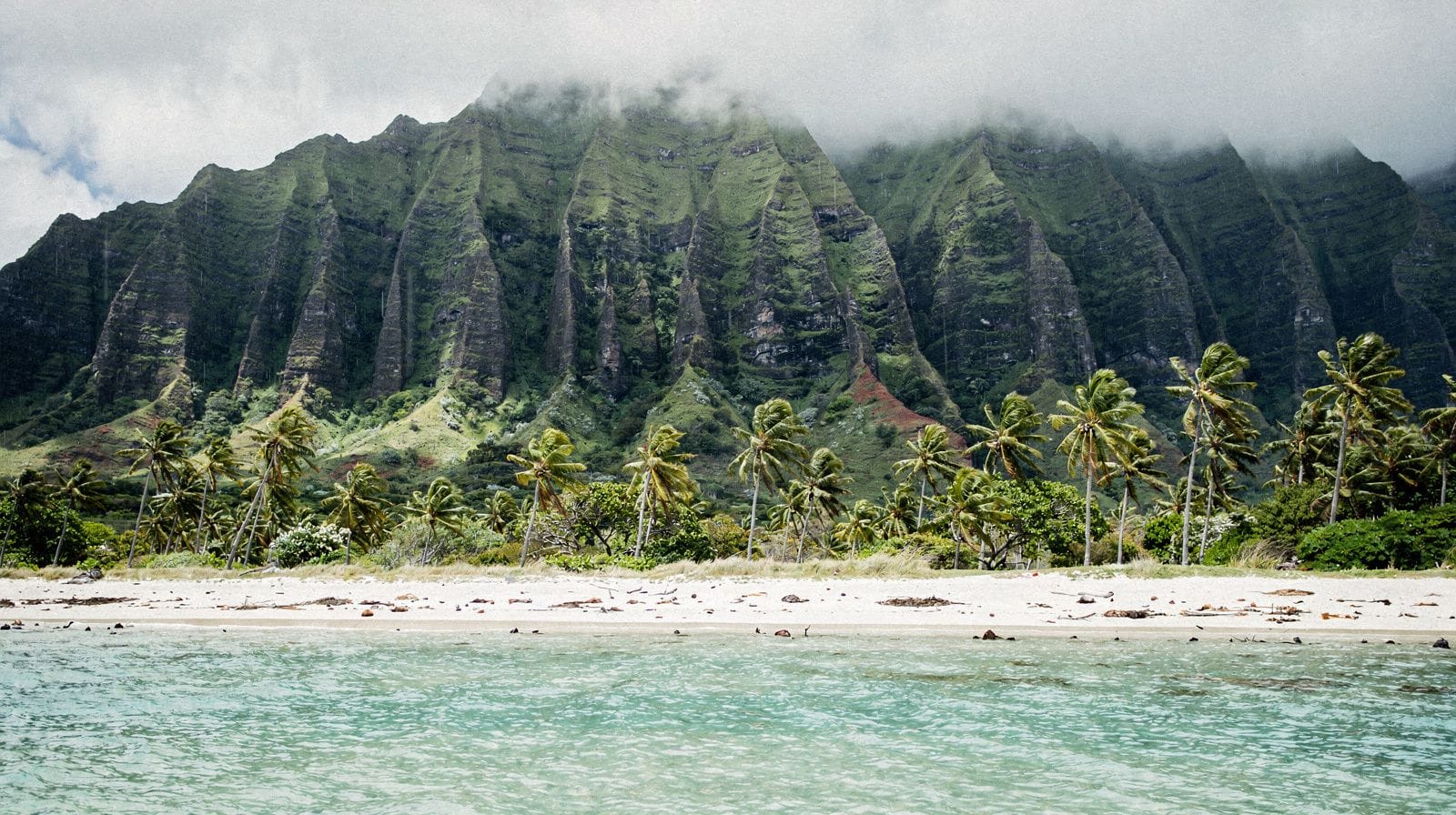 Jeden dzień na wybrzeżu nawietrznym: Kailua i Kaneohe